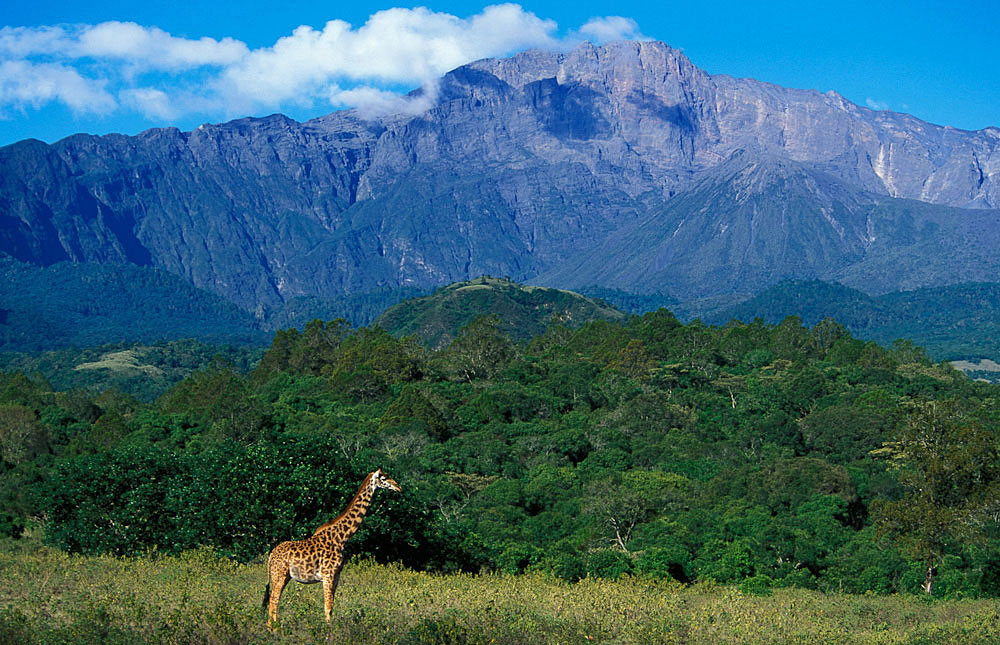 ARUSHA NATIONAL PARK DAY TRIP