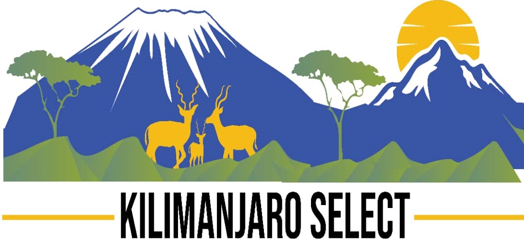 KILIMANJARO SELECT