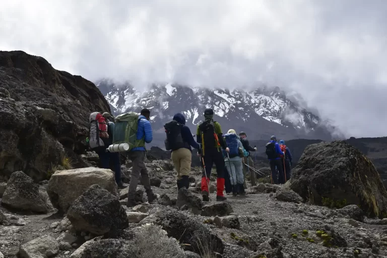 6 DAYS MACHAME ROUTE KILIMANJARO TREKS