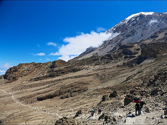 7 Days climbing via Rongai Route